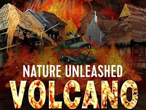 The Volcano Disaster (film)