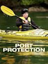 Port Protection