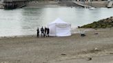 Woman found dead in the water near Sunset Beach: Vancouver police