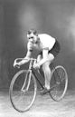 Phil O'Shea (cyclist)