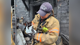 Cats dead, kittens rescued after separate fires break out in Gresham