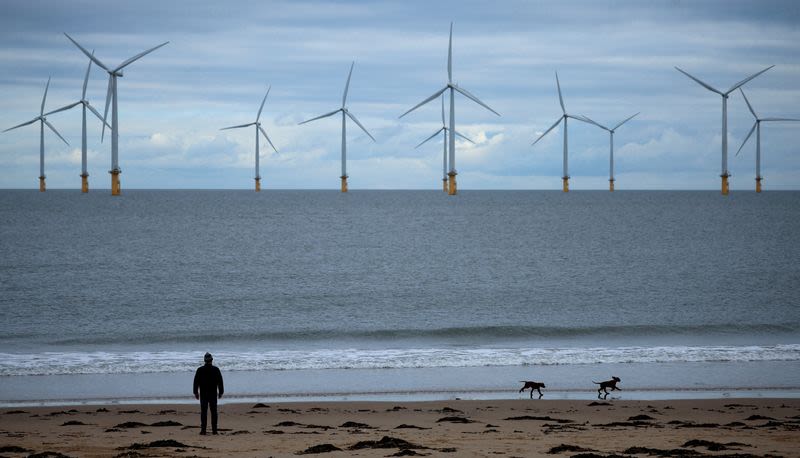 British renewable industry pushes new govt to increase auction budget