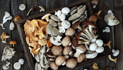 Mushroom Magic: How fungi enhance your health naturally