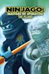 Ninjago: Masters of Spinjitzu: The Island