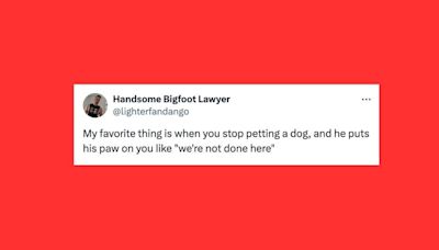 26 Of The Funniest Tweets About Cats And Dogs This Week (July 20-26)