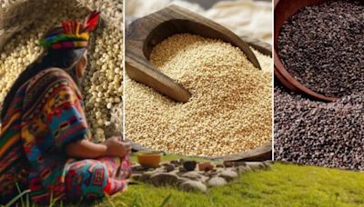 El cereal ancestral de los incas, una poderosa fuente de energía que ayuda a reducir el colesterol