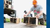 Michigan bees return from California, Georgia to pollinate crops across the state