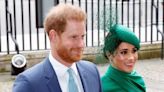 Prince Harry's relationship with Meghan blasted by Princess Diana's former bodyguard