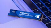 Western Digital's new budget NVMe SSDs arrive at peculiar price points
