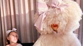 Sia recruits Chaka Khan, Paris Hilton, Labrinth and more for new album