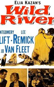 Wild River (film)
