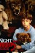 Silent Night, Deadly Night 5: The Toy Maker