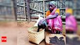 Population decline of Sabar tribe in East Singhbhum | Ranchi News - Times of India