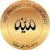 University of Faisalabad
