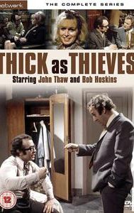 Thick as Thieves (TV series)