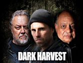 Dark Harvest (2016 film)