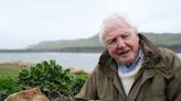 Sir David Attenborough says unearthing ‘one-in-a-billion’ fossil was a ‘great privilege’