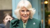 Queen Camilla assures fans Catherine, Princess of Wales will be 'thrilled' by support