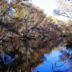 Hassayampa River Preserve