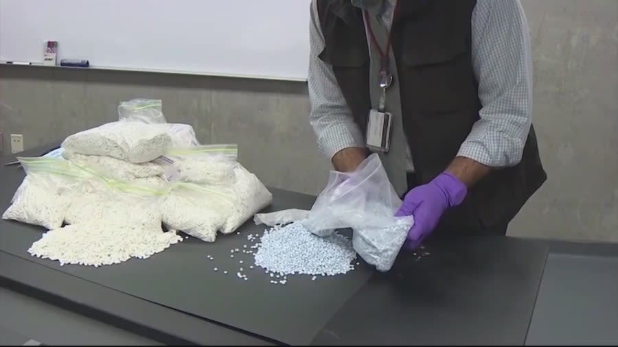 ‘One pill can kill.’ High school students take field trip to DEA on Fentanyl Awareness Day