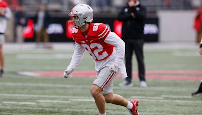 Former Ohio State receiver looking for a shot in the NFL: ‘It’s just keep my head down and hope a call comes’