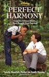 Perfect Harmony (film)