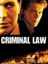 Criminal Law (film)