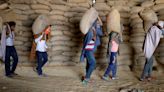 India set for wheat imports after six years, to shore up reserves