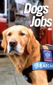 Dogs on the Job