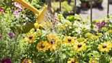 Gardeners told best time of day to water plants to discourage slugs from eating plants