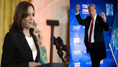 US Polls: Donald Trump donated $6000 to Kamala Harris as citizen, she gave money to charity