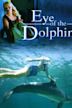 Eye of the Dolphin