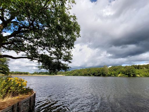 Heavy downpours cannot dampen day at Sussex park