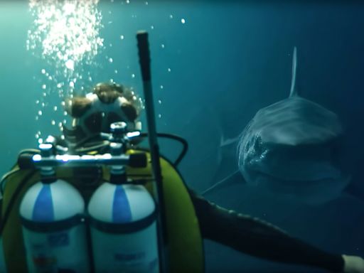 Paris Court Rejects Takedown Request For Netflix Shark Thriller ‘Under Paris’ As Director Pushes On With “Parasitism” Case