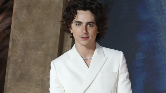 Timothée Chalmet to Star in A24 Josh Safdie Ping Pong Movie Marty Supreme, Poster Released