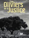 The Olive Trees of Justice