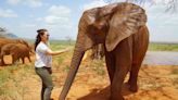 Kristin Davis Reunites With Orphaned Elephant in Kenya 9 Years After First Helping the Animal