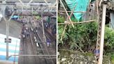 Mumbai: Bamboo Structure Collapse Disrupts Suburban Train Services Between Sion And Matunga