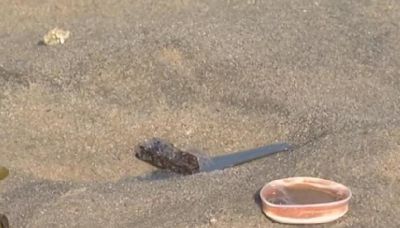 Delaware beaches closed to swimming after medical waste washes ashore