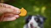5 Fall Dog Treat Recipes Your Pup Will Love