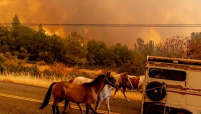 Park Fire grows into California’s largest wildfire of 2024