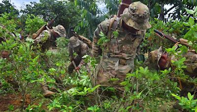 Vigilia frena erradicación de coca ilegal durante dos meses