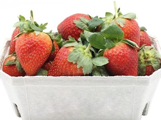 Garda appeal as two teenagers steal cash from roadside strawberry seller in Waterford