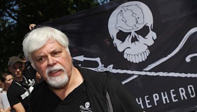 Ocean Conservationist Paul Watson Arrested In Greenland, Facing Extradition to Japan