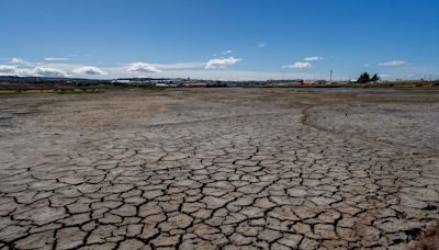 Día Mundial de la Lucha contra la Desertificación y Sequía: tres iniciativas para mejorar el uso del agua en Chile - La Tercera