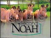 Second Noah