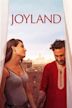 Joyland (film)