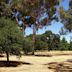 Arboreto de la Universidad de Stanford