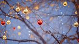 Give your garden festive sparkle by lighting it up in winter