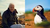 David Attenborough to Host BBC Nature Series ‘Wild Isles’
